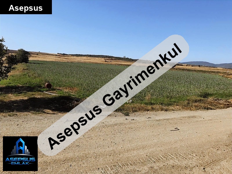 Asepsus Emlak'tan  yenice mh. 'sinde satılık arsa