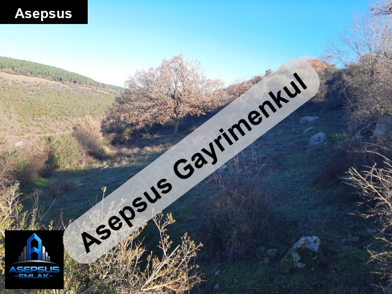 Asepsus Emlak'tan  turplu mh. 'sinde satılık arsa