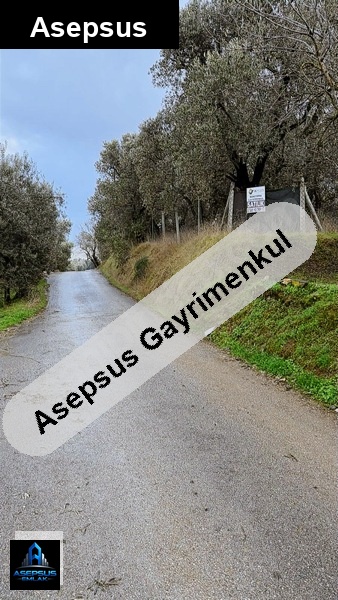 Asepsus Emlak'tan  edincik mh. 'sinde satılık arsa