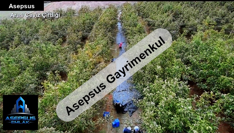 Asepsus Emlak'tan  mahbubeler mh. 'sinde satılık arsa