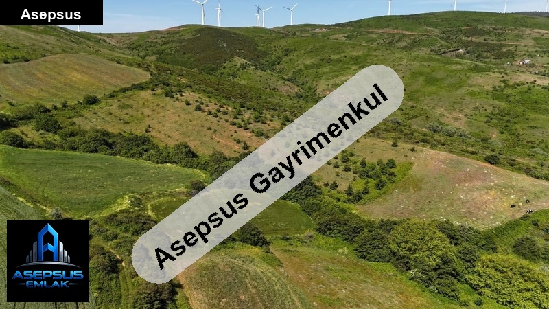 Asepsus Emlak'tan  erikli mh. 'sinde satılık arsa