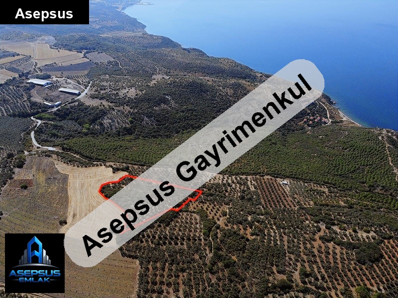 Asepsus Emlak'tan  şirinçavuş mh. 'sinde satılık arsa