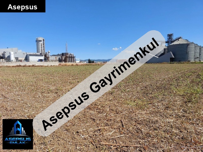 Asepsus Emlak'tan  ömerli mh. 'sinde satılık arsa