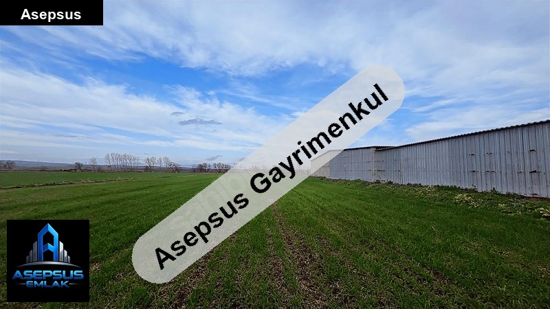 Asepsus Emlak'tan  buğdaylı mh. 'sinde satılık arsa