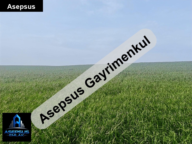 Asepsus Emlak'tan  erikli mh. 'sinde satılık arsa
