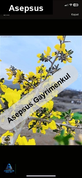 Asepsus Emlak'tan  kınalar mh. 'sinde satılık arsa