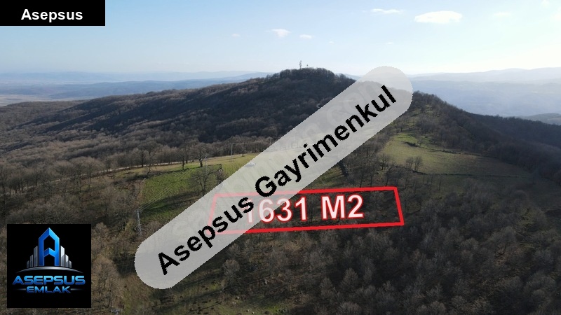 Asepsus Emlak'tan  kavakalan mh. 'sinde satılık arsa