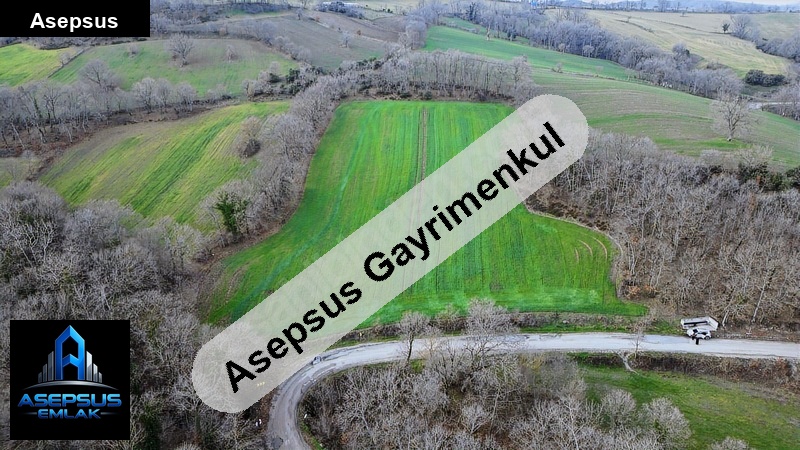 Asepsus Emlak'tan  ömerler mh. 'sinde satılık arsa