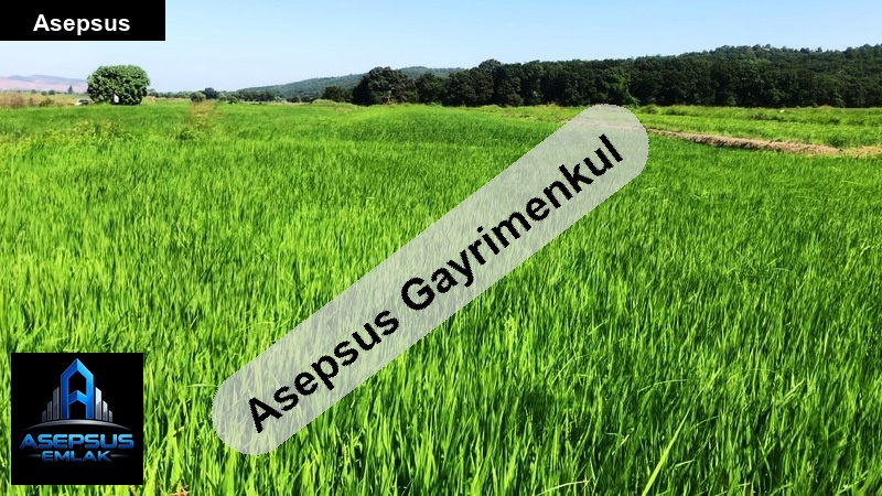 Asepsus Emlak'tan  akçaali mh. 'sinde satılık arsa