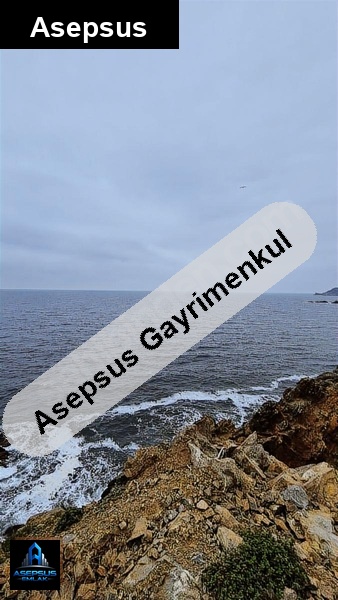 Asepsus Emlak'tan  yenice mh. 'sinde satılık arsa