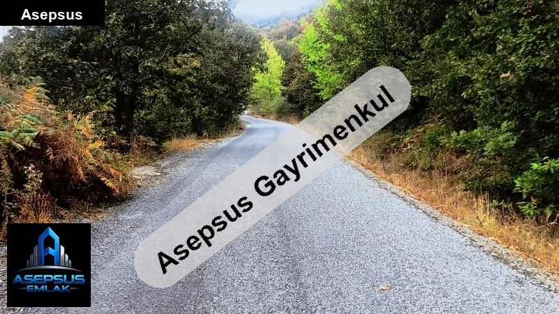 Asepsus Emlak'tan  beyoluk mh. 'sinde satılık arsa