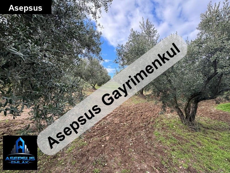 Asepsus Emlak'tan  çifteçeşmeler mh. 'sinde satılık arsa