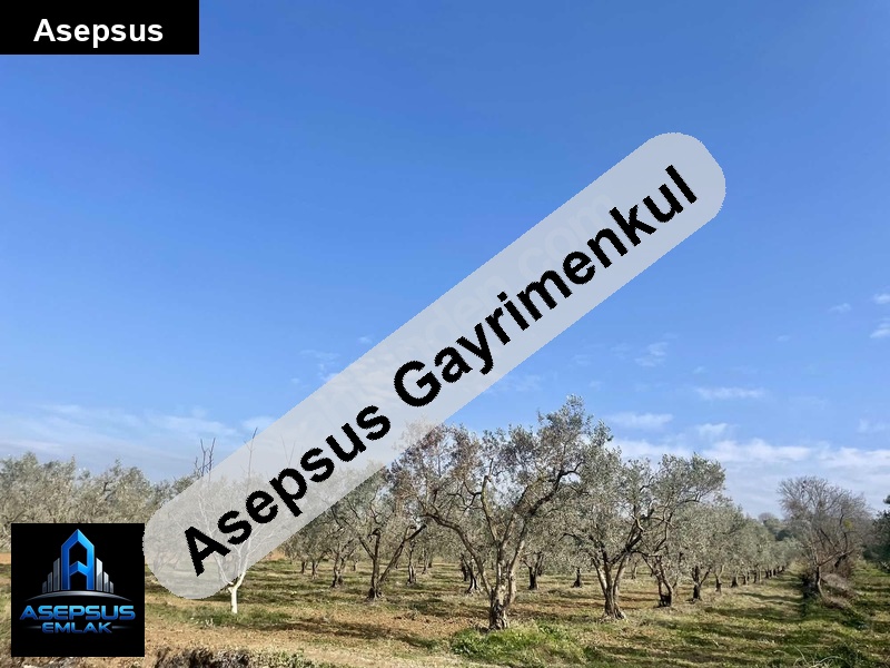 Asepsus Emlak'tan  yeşilçomlu mh. 'sinde satılık arsa