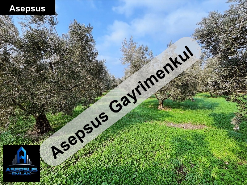 Asepsus Emlak'tan  yeşilçomlu mh. 'sinde satılık arsa