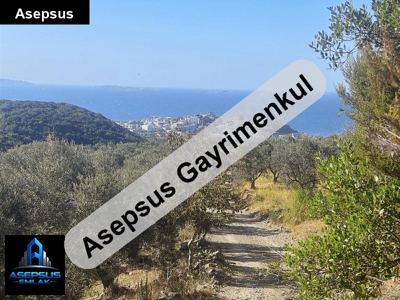 Asepsus Emlak'tan  yenice mh. 'sinde satılık arsa