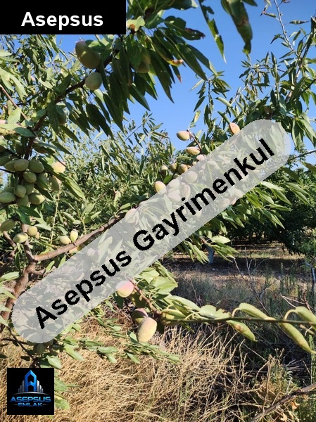 Asepsus Emlak'tan  akçapınar mh. 'sinde satılık arsa