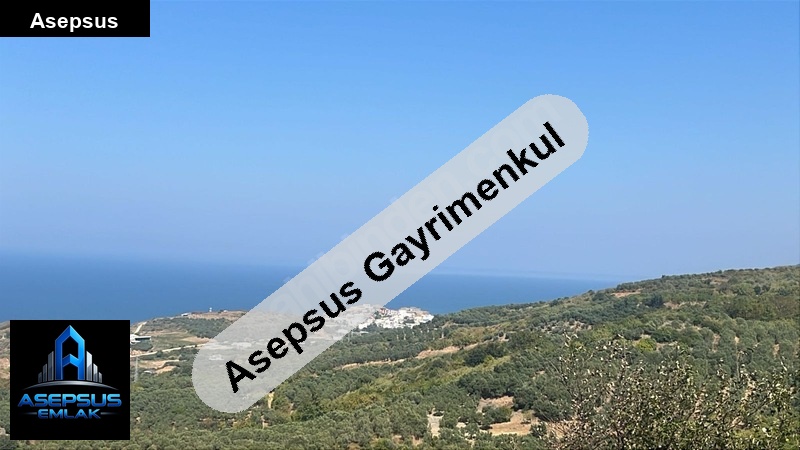 Asepsus Emlak'tan  yenice mh. 'sinde satılık arsa