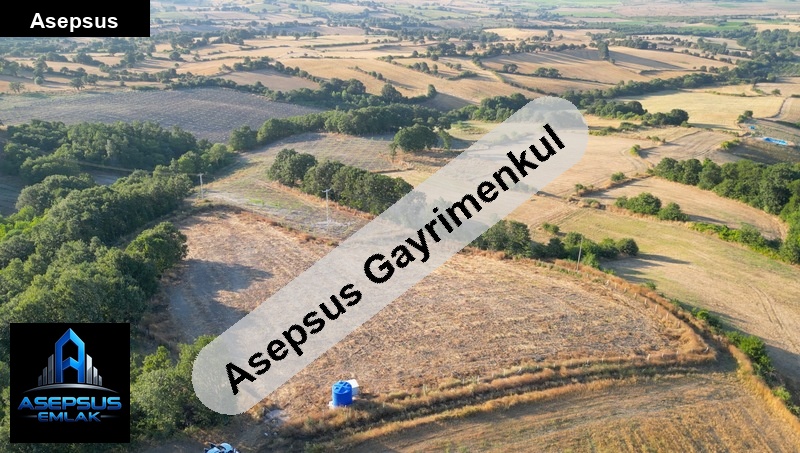 Asepsus Emlak'tan  üçpınar mh. 'sinde satılık arsa