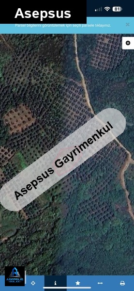 Asepsus Emlak'tan  yenice mh. 'sinde satılık arsa