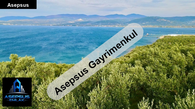 Asepsus Emlak'tan  edincik mh. 'sinde satılık arsa