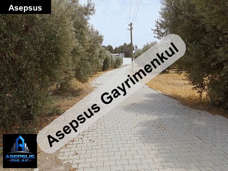 Asepsus Emlak'tan  hıdırköy mh. 'sinde satılık arsa