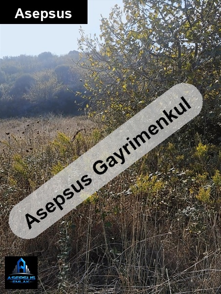 Asepsus Emlak'tan  yenice mh. 'sinde satılık arsa