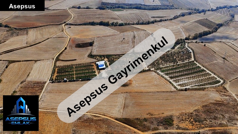 Asepsus Emlak'tan  erikli mh. 'sinde satılık arsa