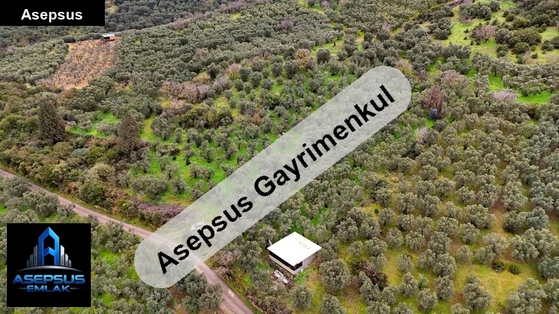 Asepsus Emlak'tan  edincik mh. 'sinde satılık arsa