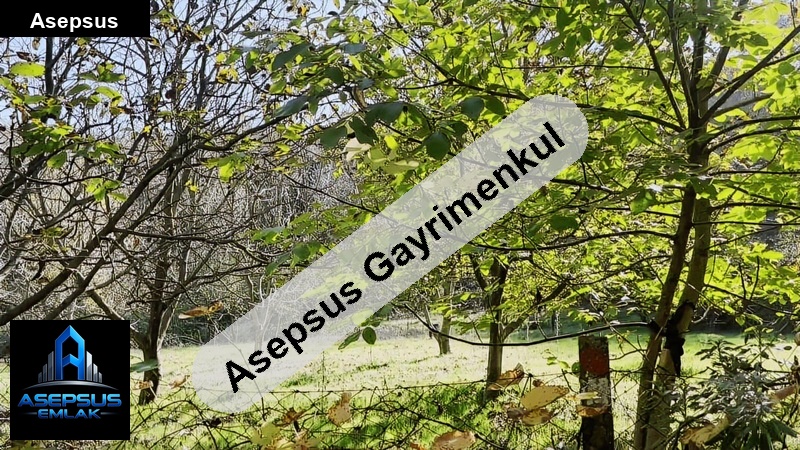 Asepsus Emlak'tan  geyikli mh. 'sinde satılık arsa