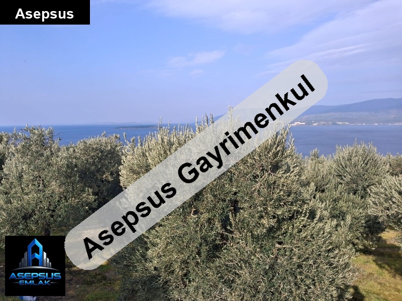 Asepsus Emlak'tan  edincik mh. 'sinde satılık arsa