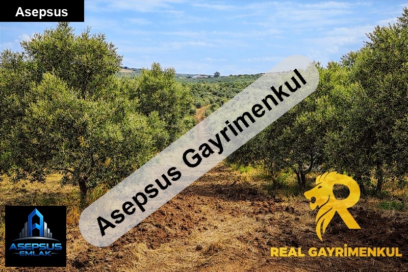 Asepsus Emlak'tan  misakça mh. 'sinde satılık arsa