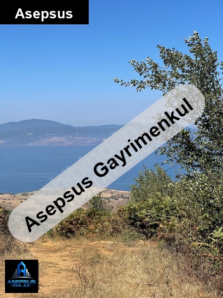 Asepsus Emlak'tan  dutliman mh. 'sinde satılık arsa