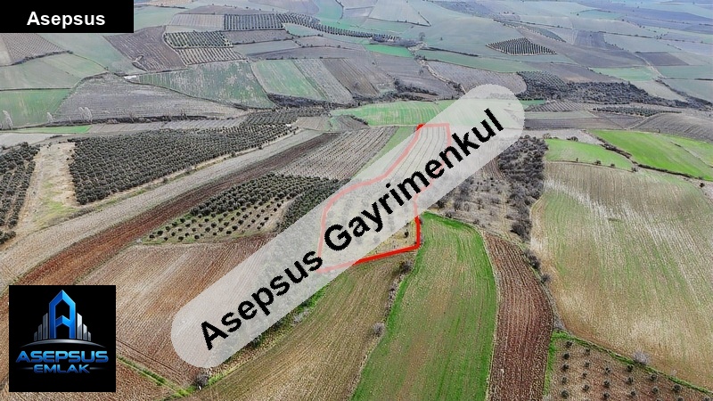 Asepsus Emlak'tan  havutça mh. 'sinde satılık arsa