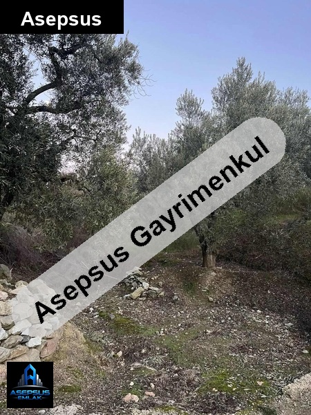 Asepsus Emlak'tan  edincik mh. 'sinde satılık arsa