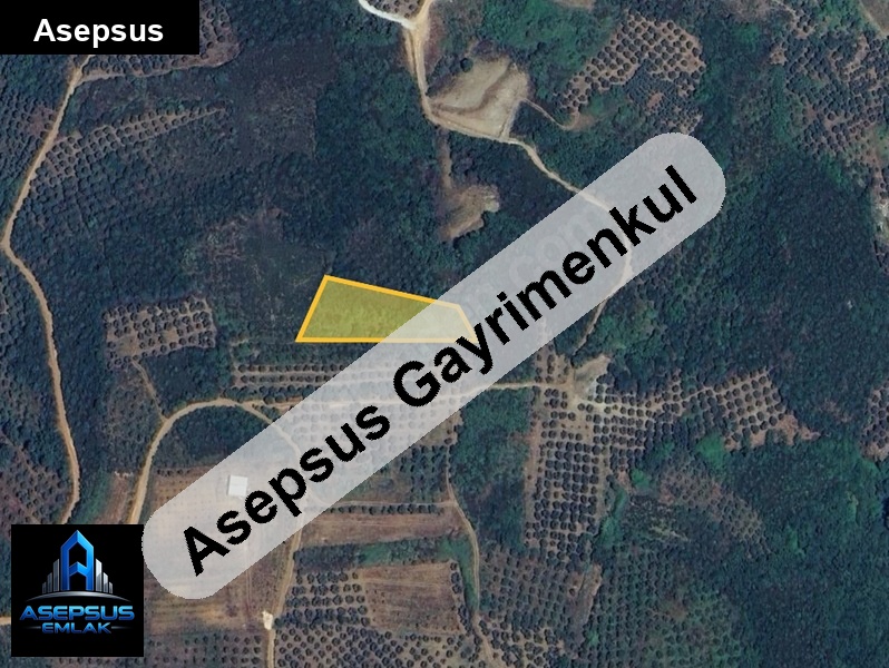 Asepsus Emlak'tan  yenice mh. 'sinde satılık arsa