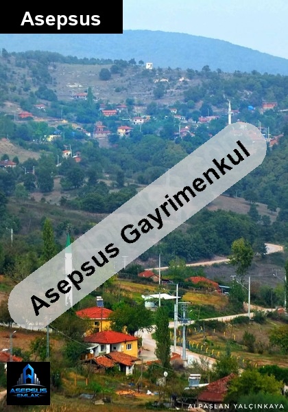 Asepsus Emlak'tan  söğüt mh. 'sinde satılık arsa