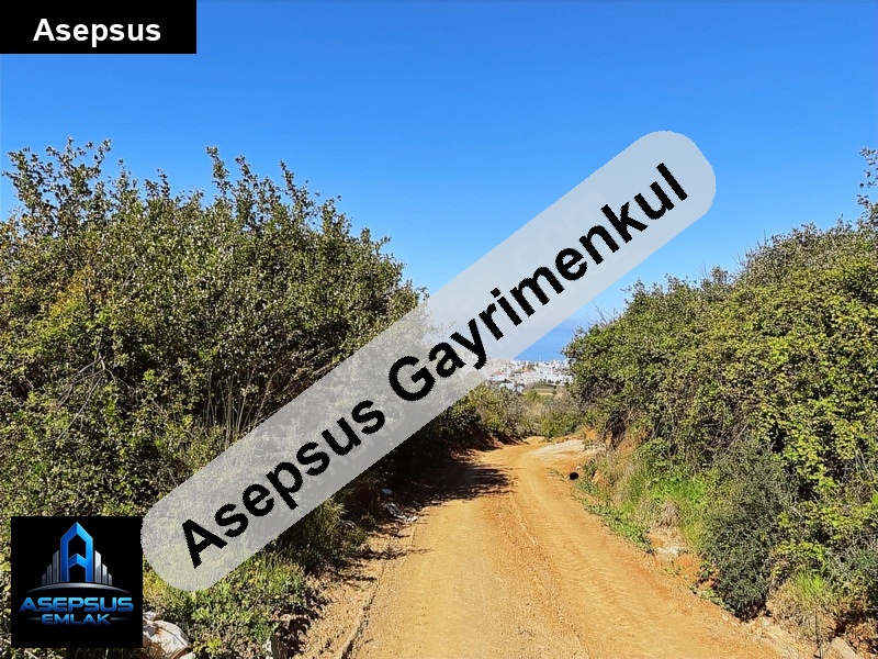 Asepsus Emlak'tan  yenice mh. 'sinde satılık arsa