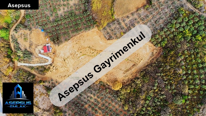 Asepsus Emlak'tan  yenice mh. 'sinde satılık arsa
