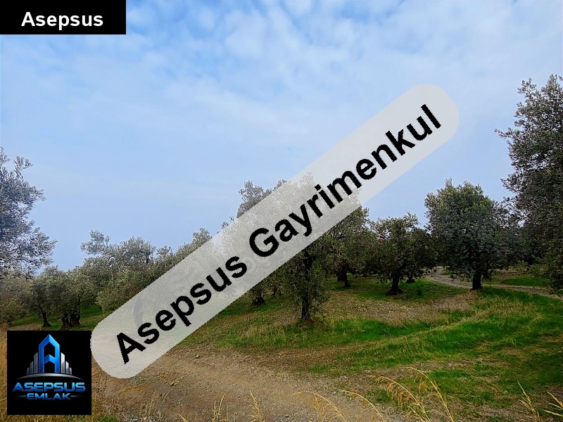 Asepsus Emlak'tan  edincik mh. 'sinde satılık arsa