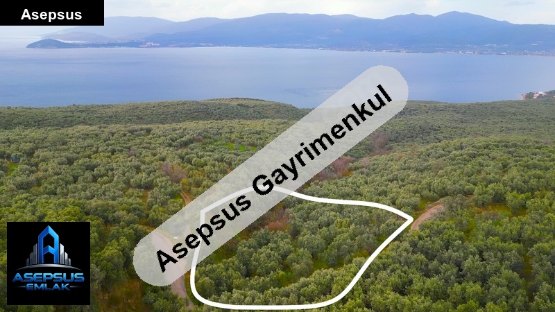 Asepsus Emlak'tan  edincik mh. 'sinde satılık arsa