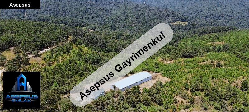 Asepsus Emlak'tan  beyoluk mh. 'sinde satılık arsa