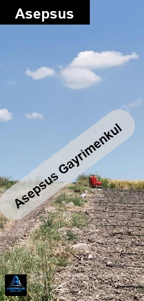 Asepsus Emlak'tan  aksakal mh. 'sinde satılık arsa