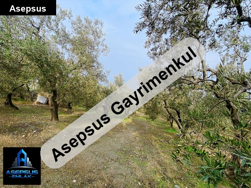 Asepsus Emlak'tan  edincik mh. 'sinde satılık arsa