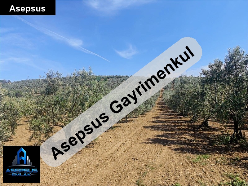 Asepsus Emlak'tan  şirinçavuş mh. 'sinde satılık arsa