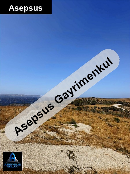 Asepsus Emlak'tan  dutliman mh. 'sinde satılık arsa