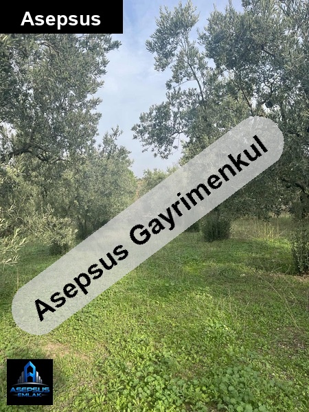 Asepsus Emlak'tan  yeniyenice mh. 'sinde satılık arsa