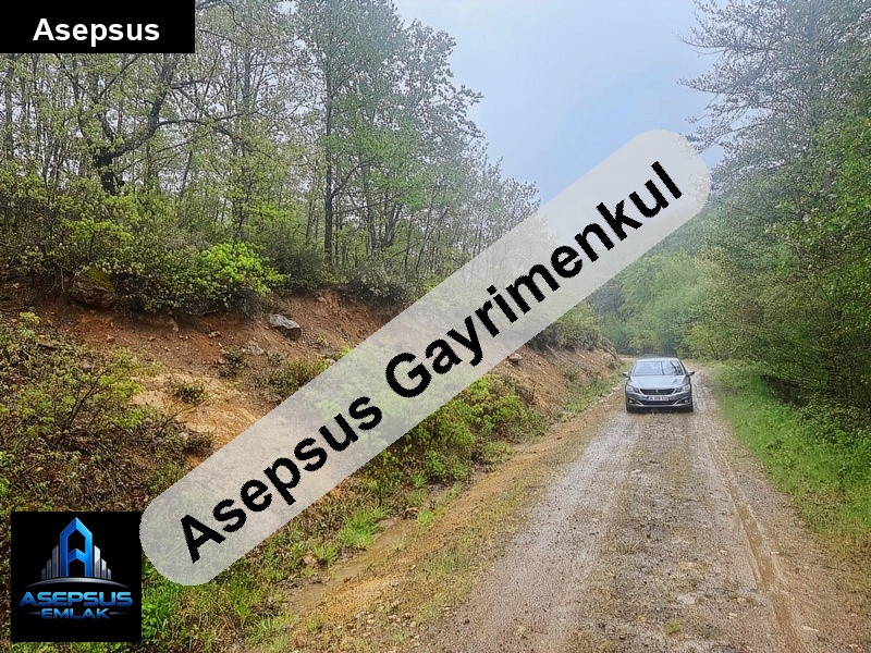 Asepsus Emlak'tan  beyoluk mh. 'sinde satılık arsa