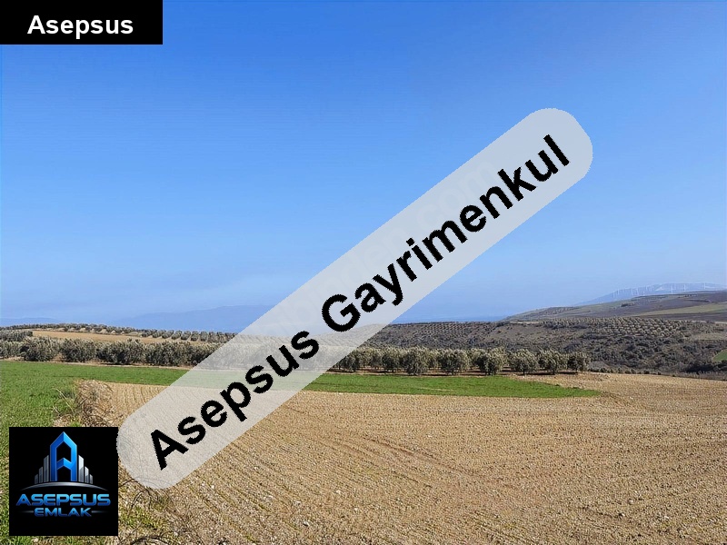 Asepsus Emlak'tan  şirinçavuş mh. 'sinde satılık arsa